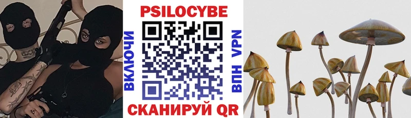 Псилоцибиновые грибы Psilocybine cubensis  Севастополь 